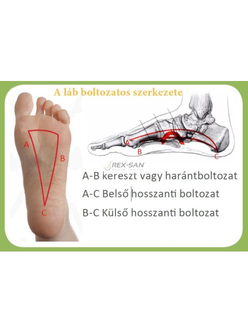 QMED harántemelő párna (1 pár / doboz)