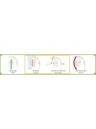 QMED hallux valgus éjszakai sín 